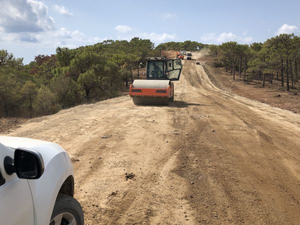 Cost of Driveway Grading in Maryville