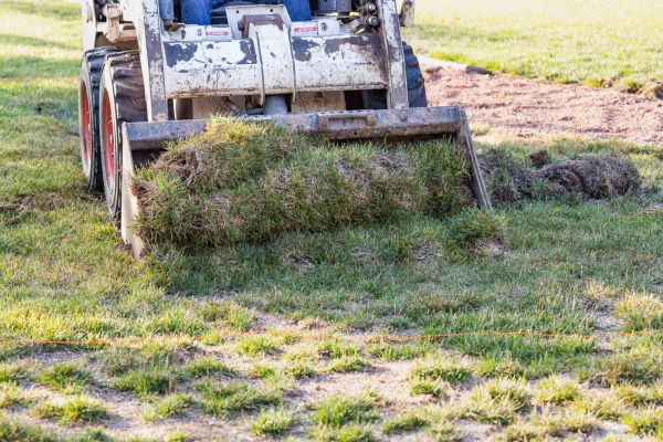 Cost of Landscape Leveling in Maryville