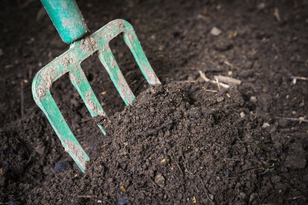 Cost of Topsoil Spreading in Maryville