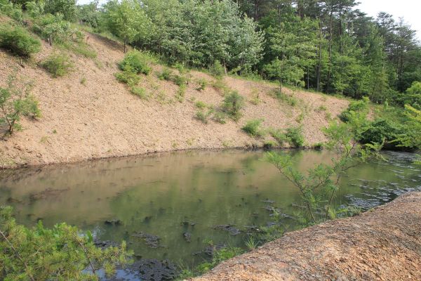 Cost of Pond Erosion Repair in Maryville