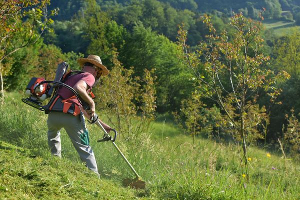 Cost of Slope Trimming in Maryville