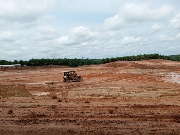 Cost of Land Preparation Service in Maryville