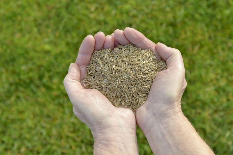 Landscape Grading Service